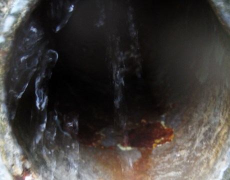 Sebastiane Hegarty: rain choir