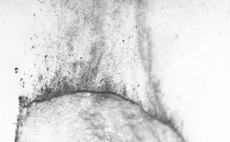 chalk dissolve: sebastiane hegarty